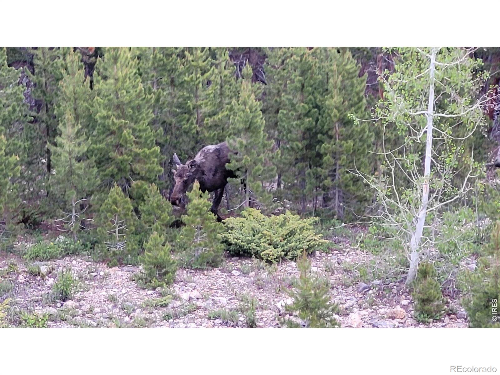 557 Highpoint Circle Black Hawk CO 80422
