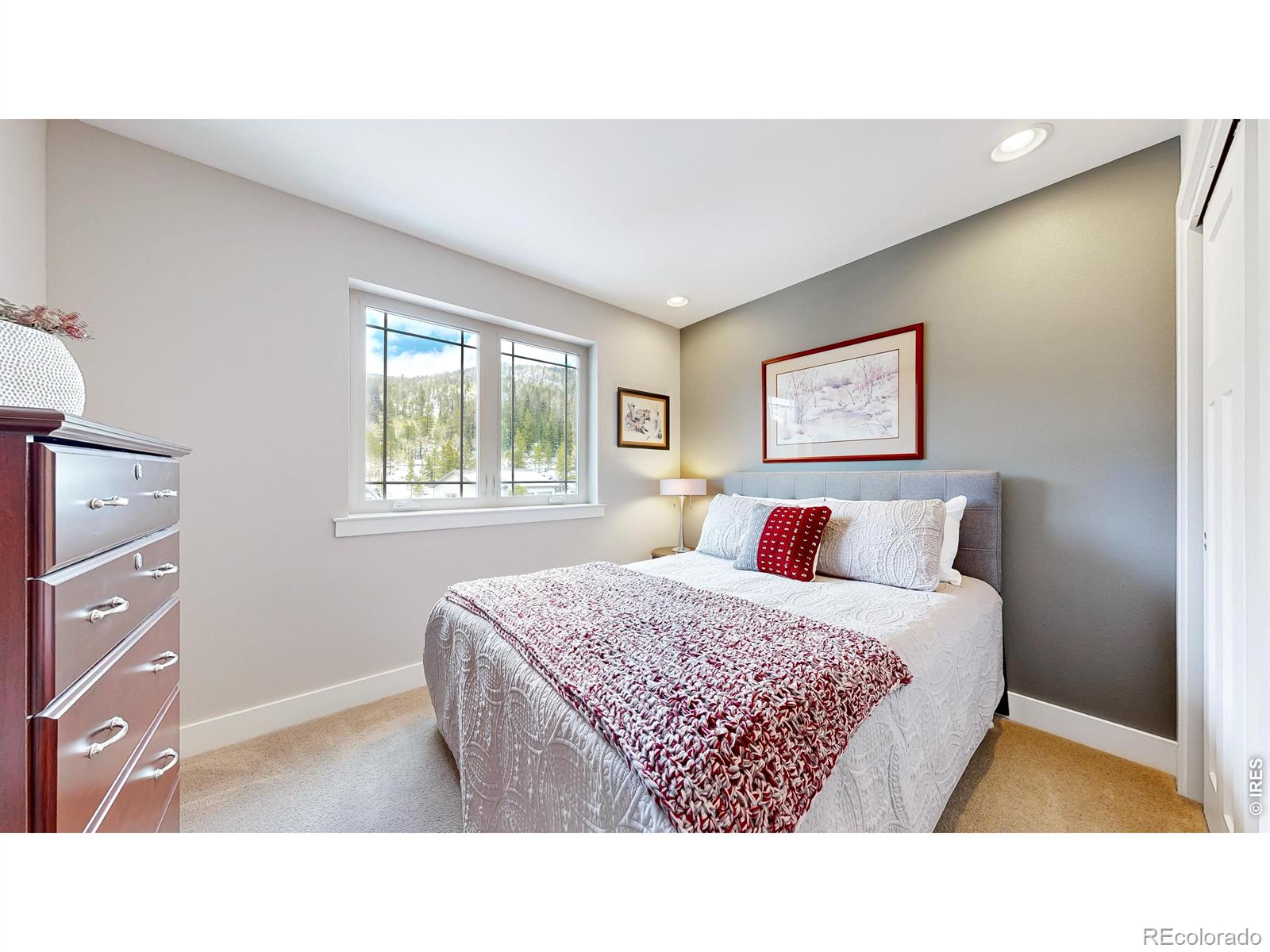 296 Elkridge Road Red Feather Lakes CO 80545