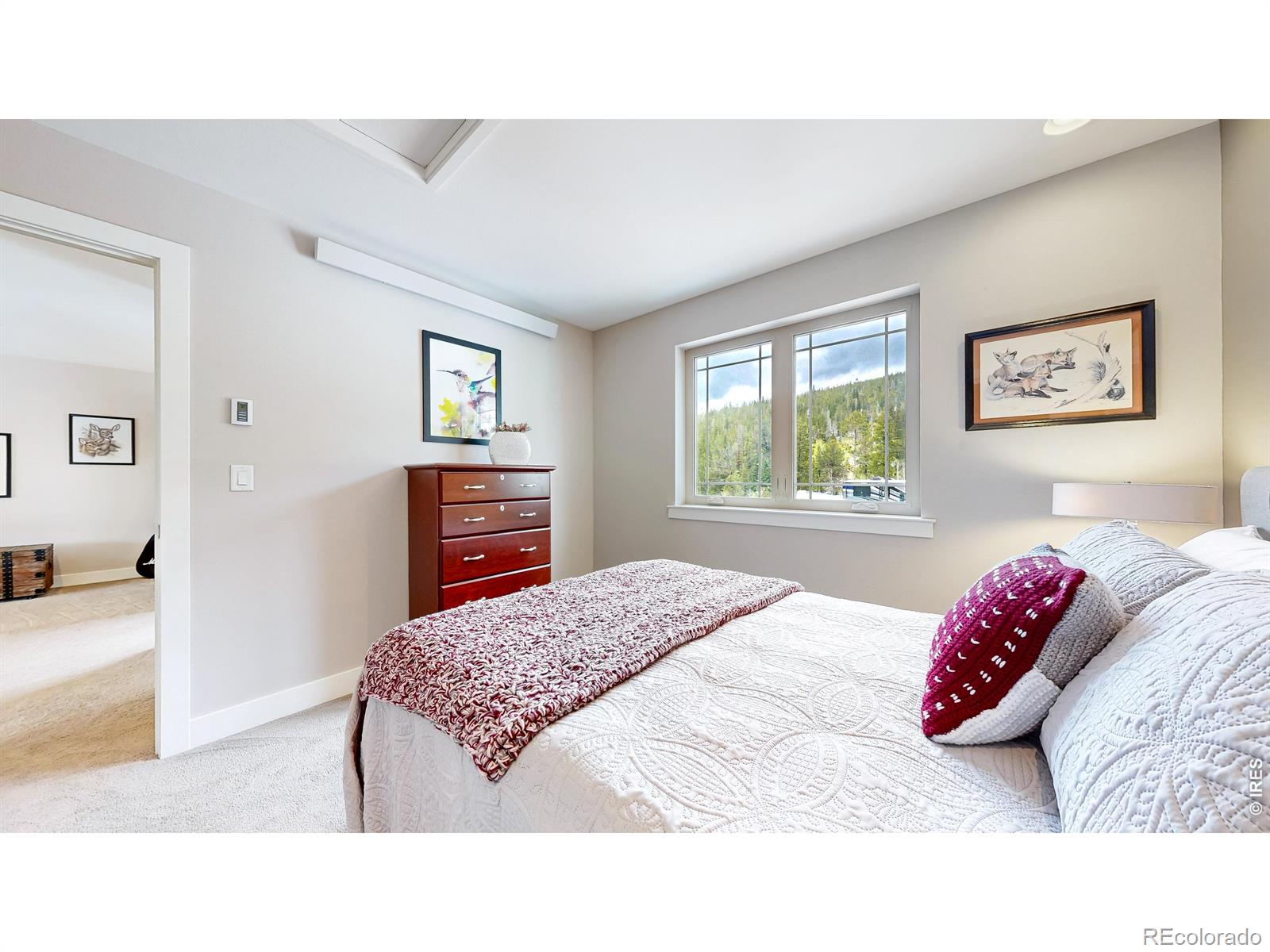 296 Elkridge Road Red Feather Lakes CO 80545