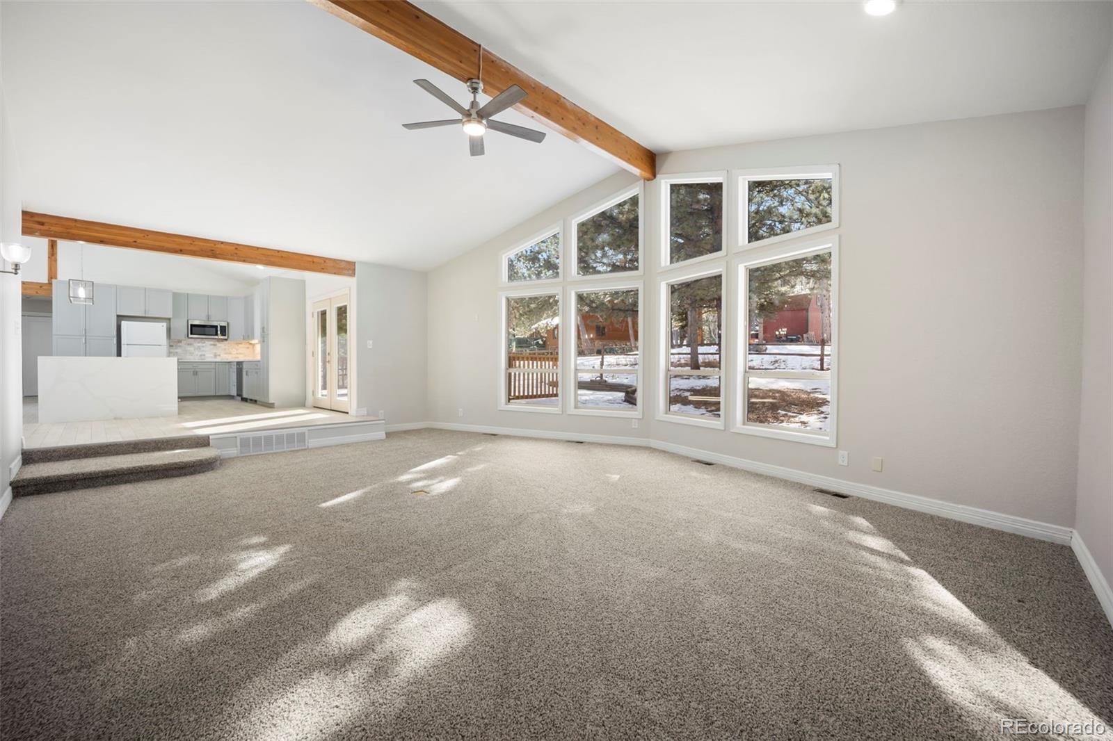 33 Stillforest Lane Woodland Park CO 80863