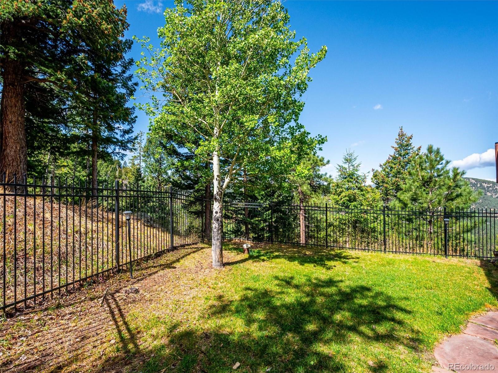 6725 Teal Trail Evergreen CO 80439