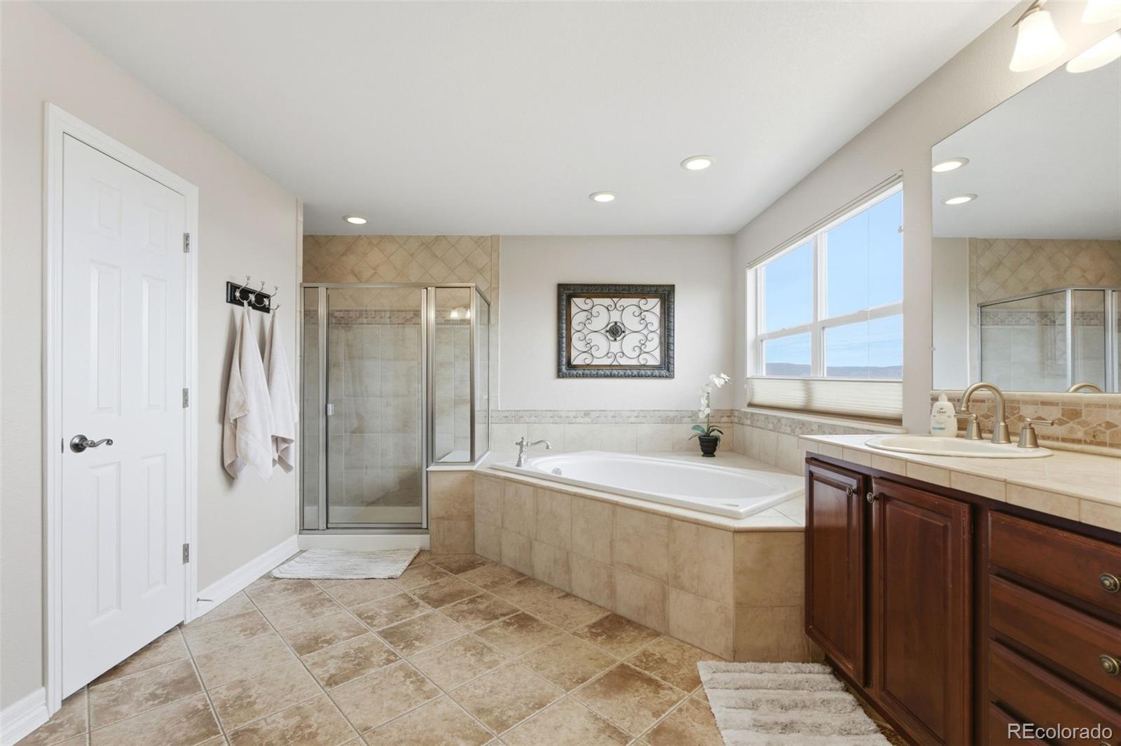 3302 Running Deer Drive Castle Rock CO 80109