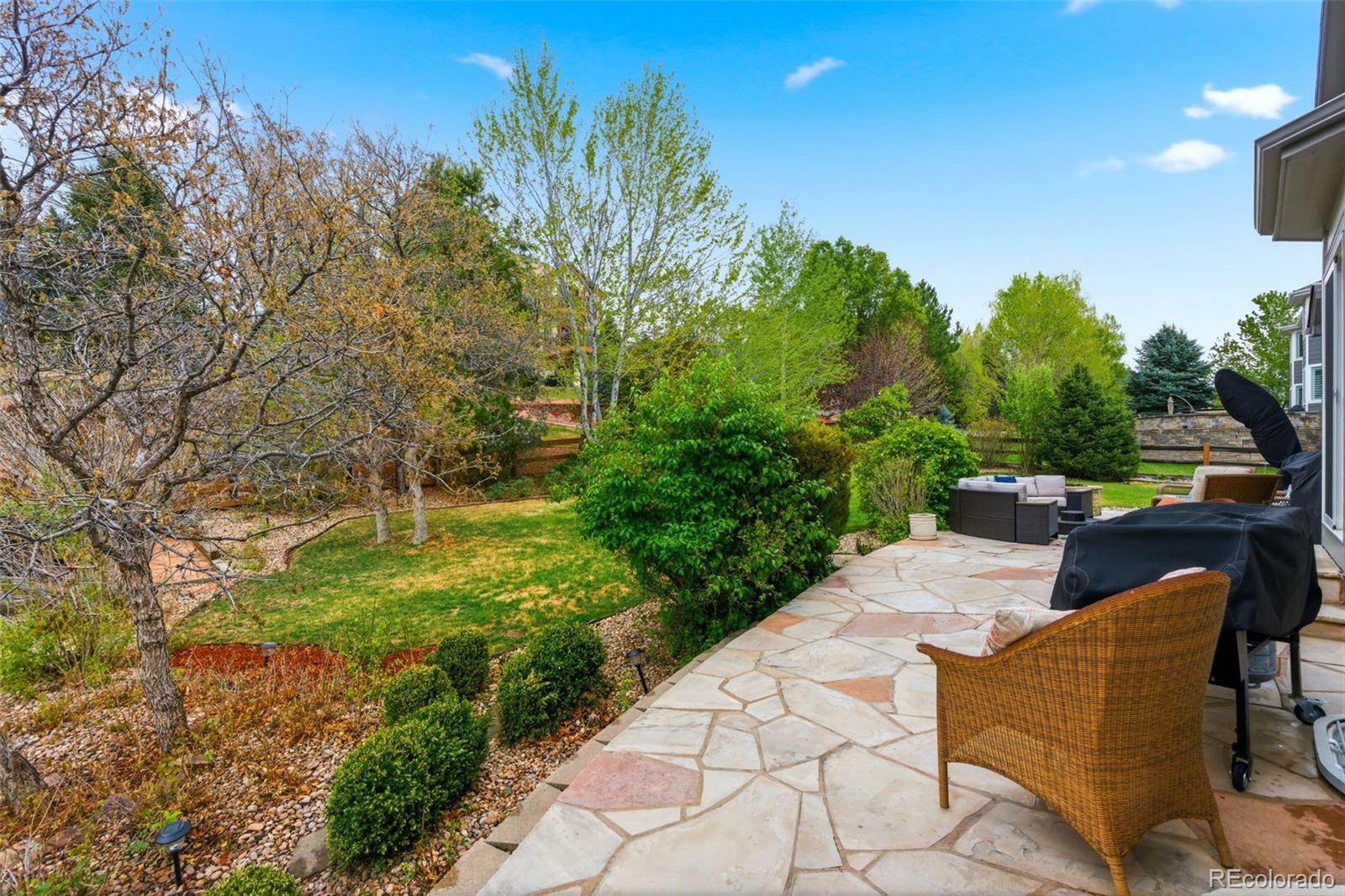 3302 Running Deer Drive Castle Rock CO 80109