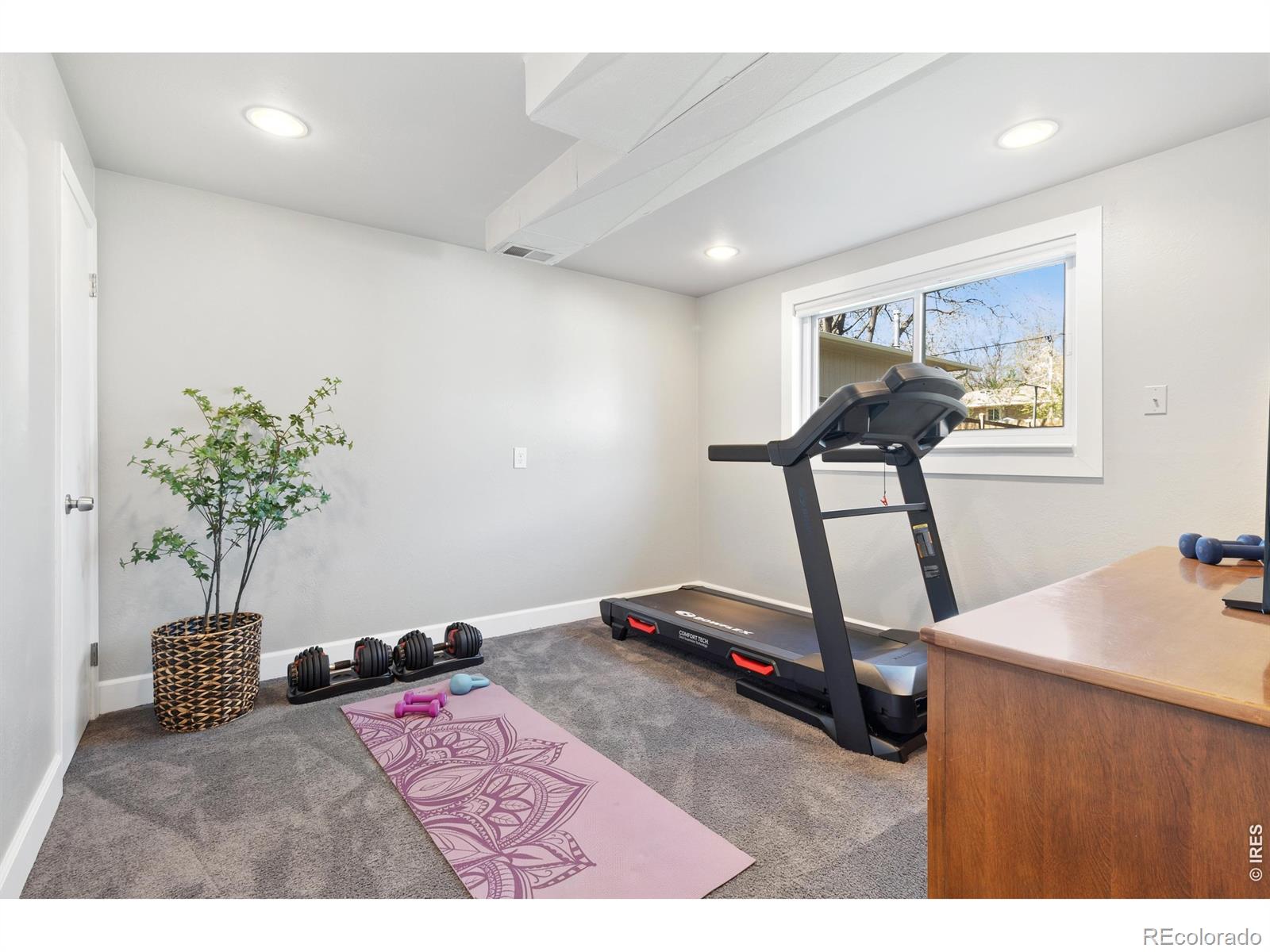 616 Tulane Drive Fort Collins CO 80525