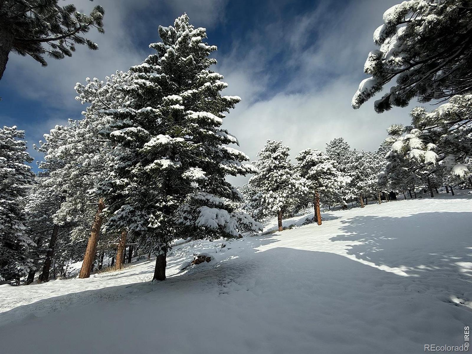 1040 Brook Road Boulder CO 80302