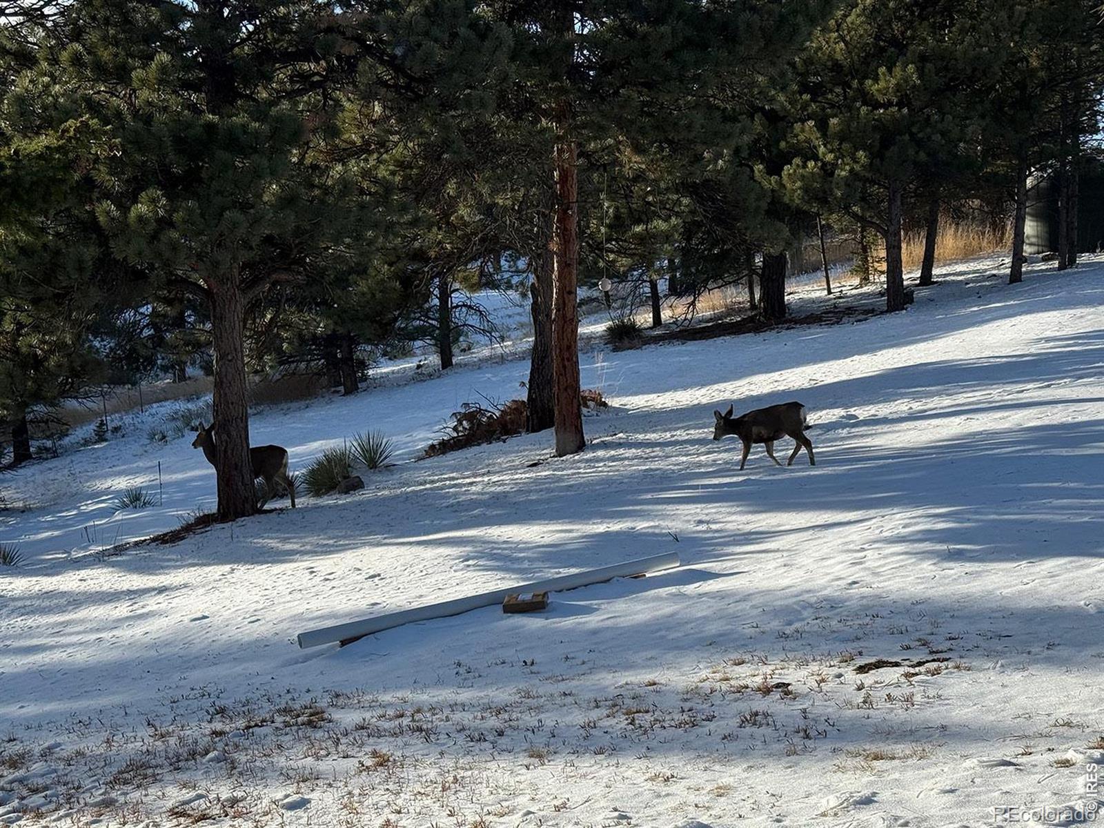 1040 Brook Road Boulder CO 80302