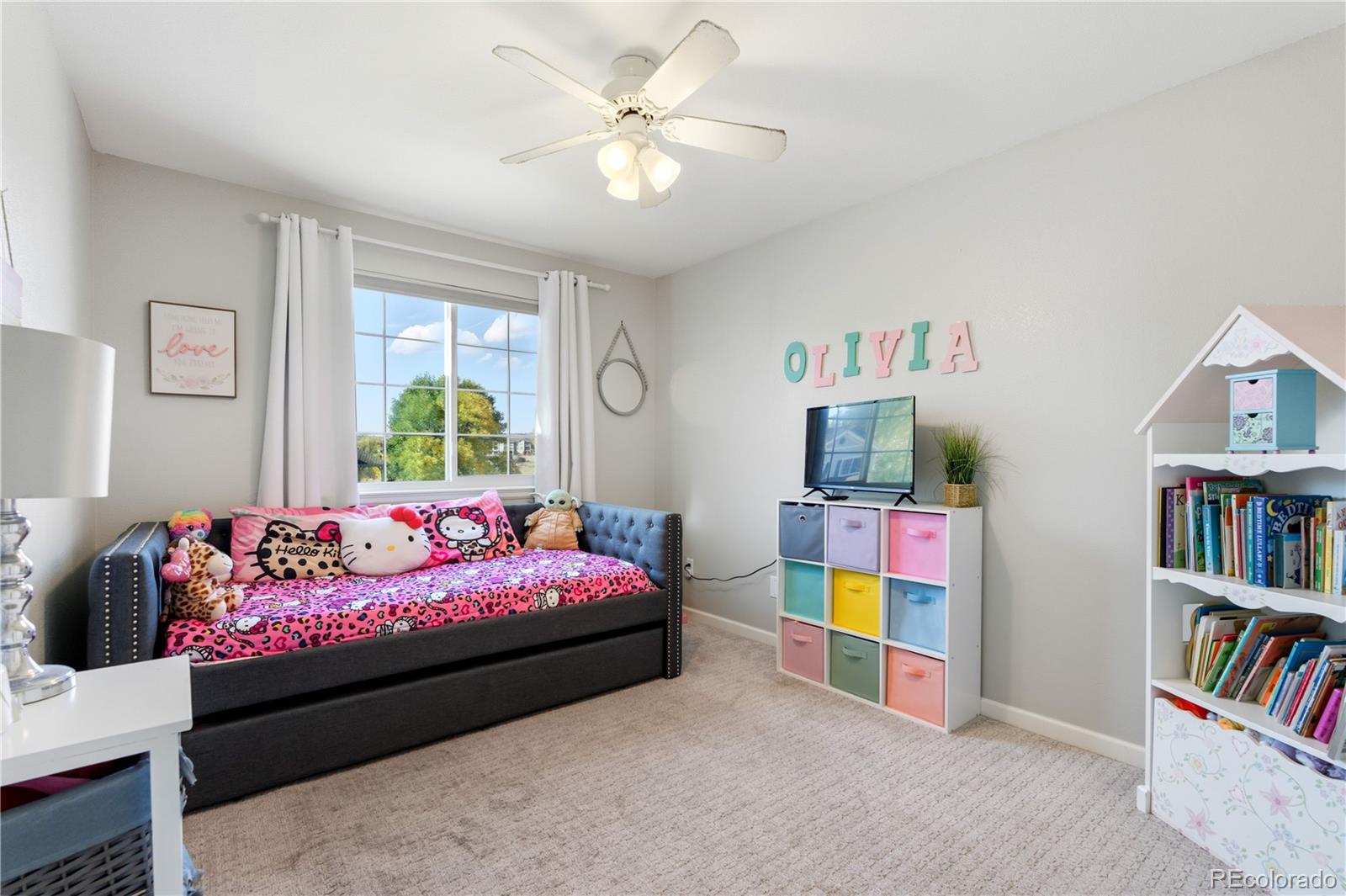 19025 E Molly Avenue Parker CO 80134