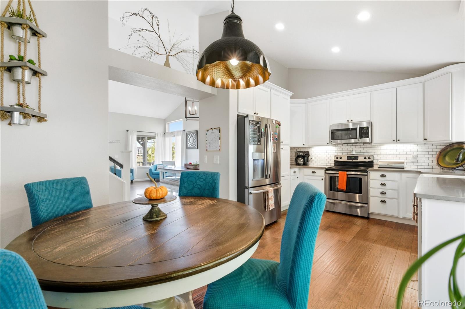 19025 E Molly Avenue Parker CO 80134