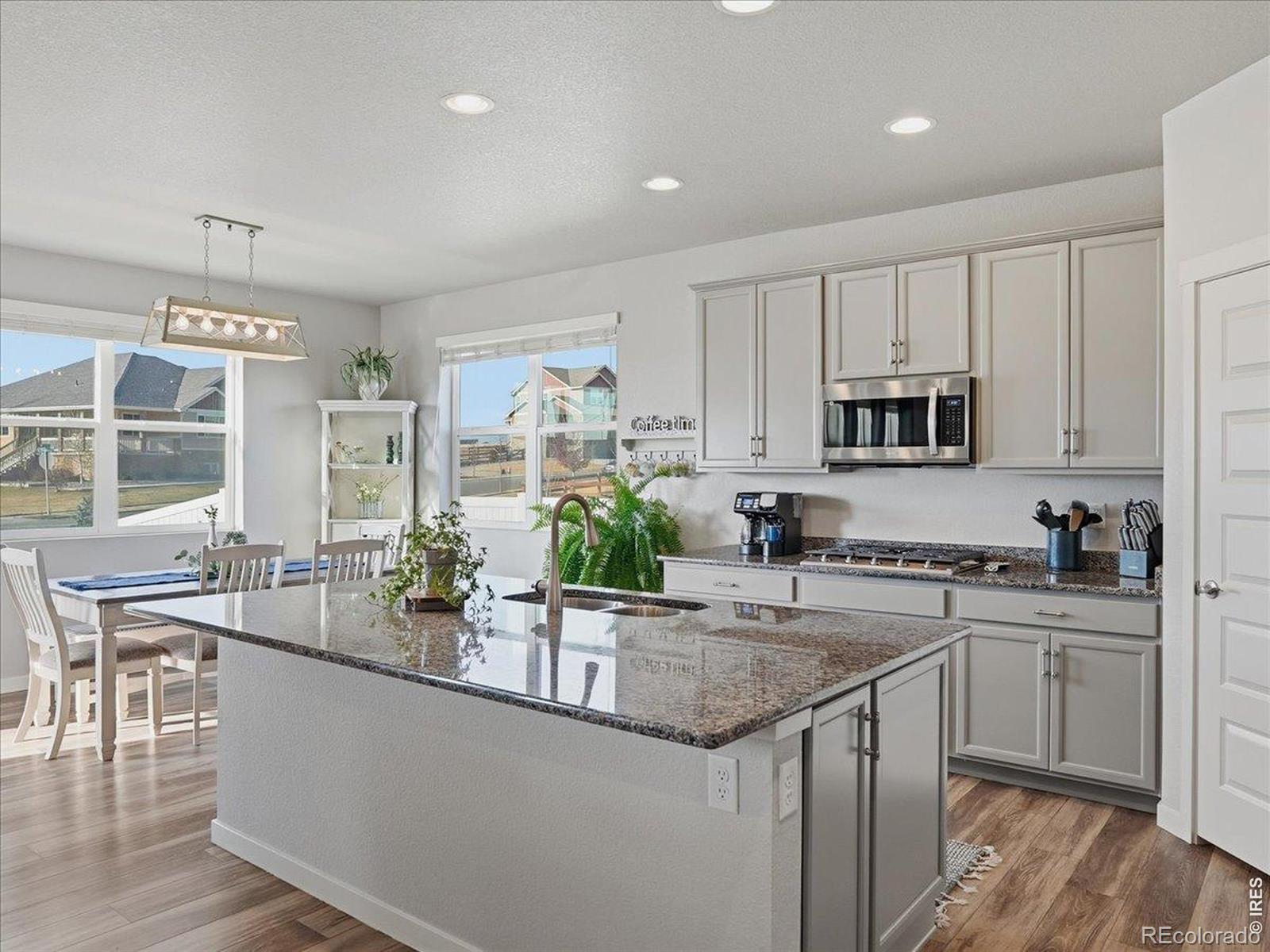 1229 Argali Drive Severance CO 80550
