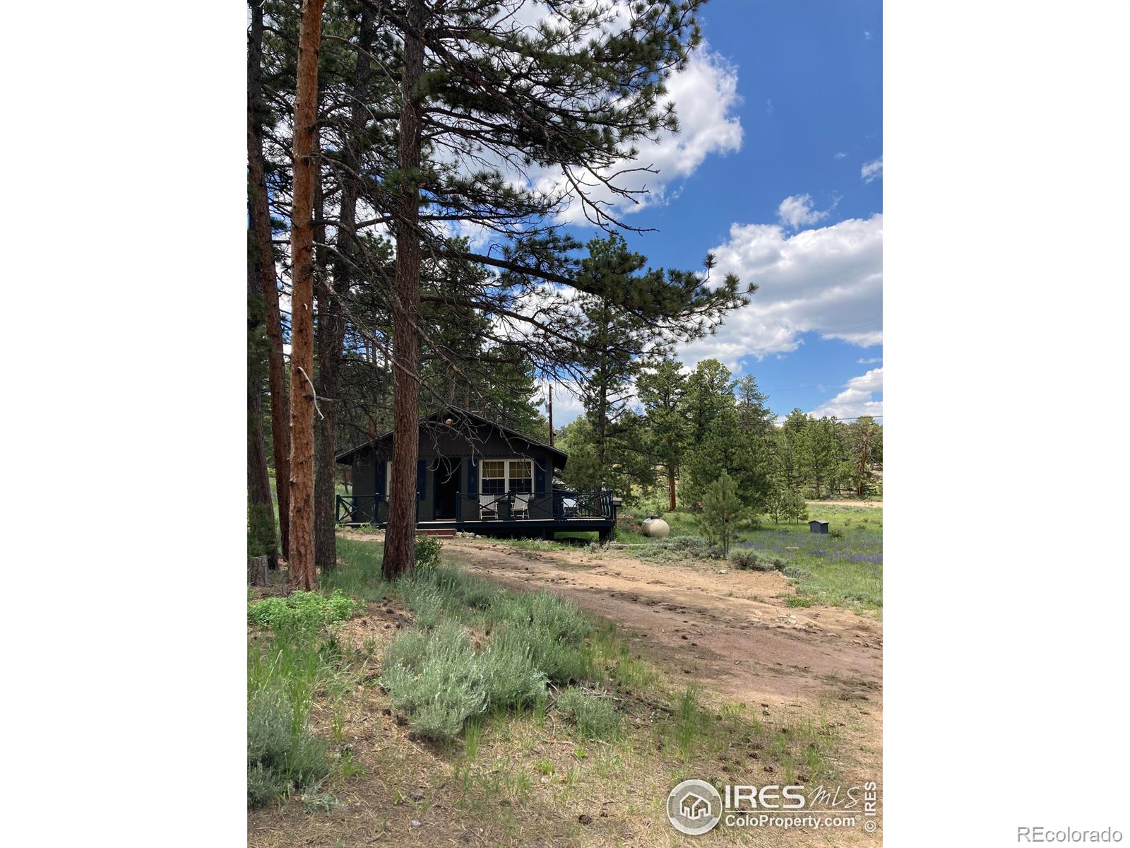 123 Nokomis Road Red Feather Lakes CO 80545