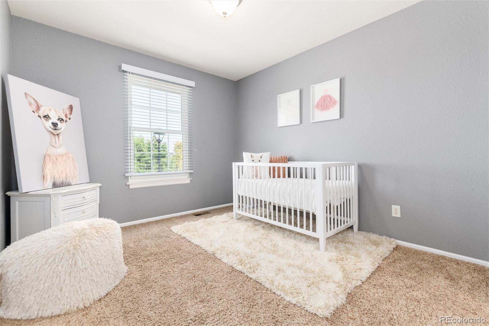 9787 Gatesbury Circle Highlands Ranch CO 80126