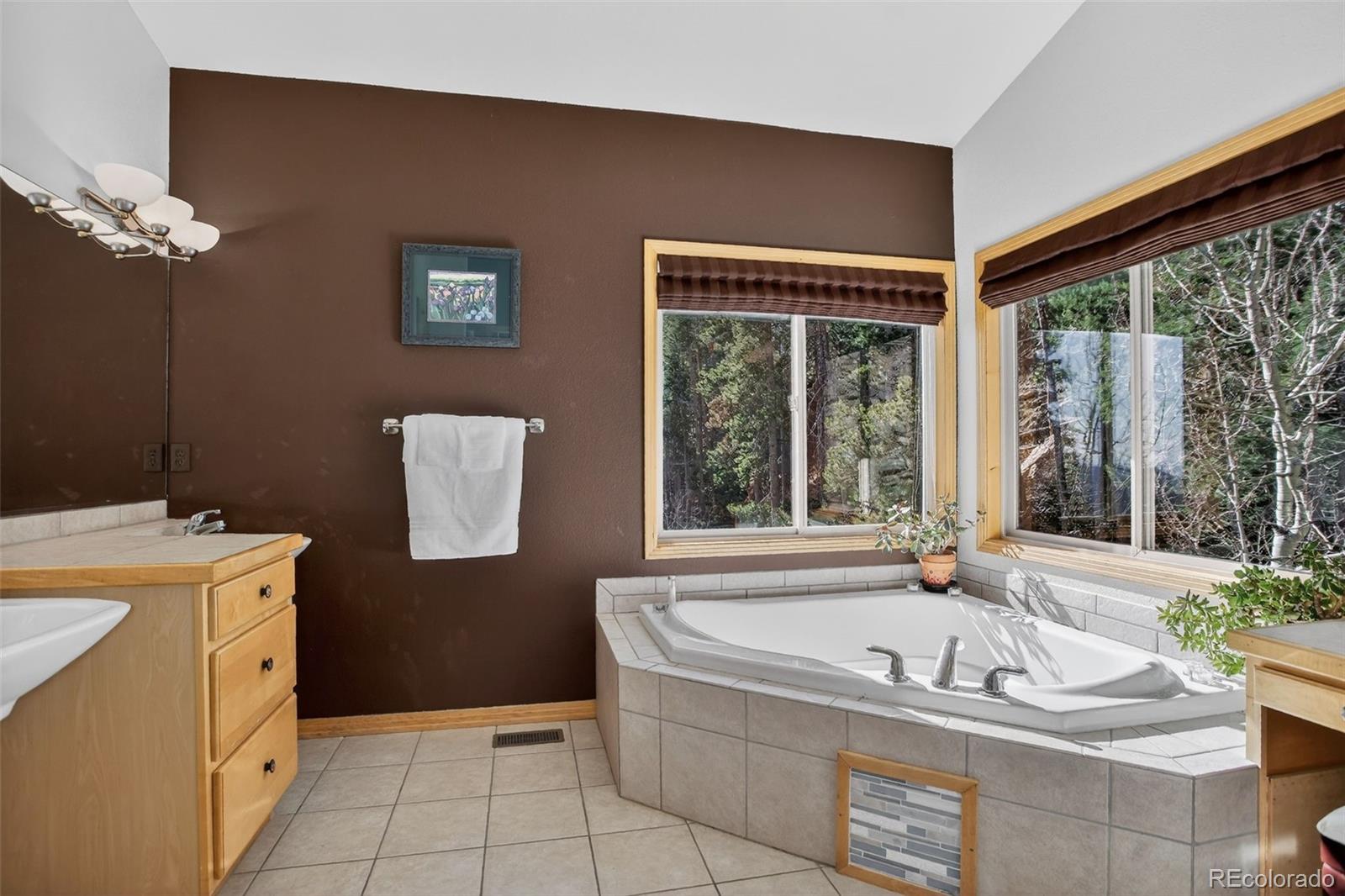 1255 Hy Vu Drive Evergreen CO 80439