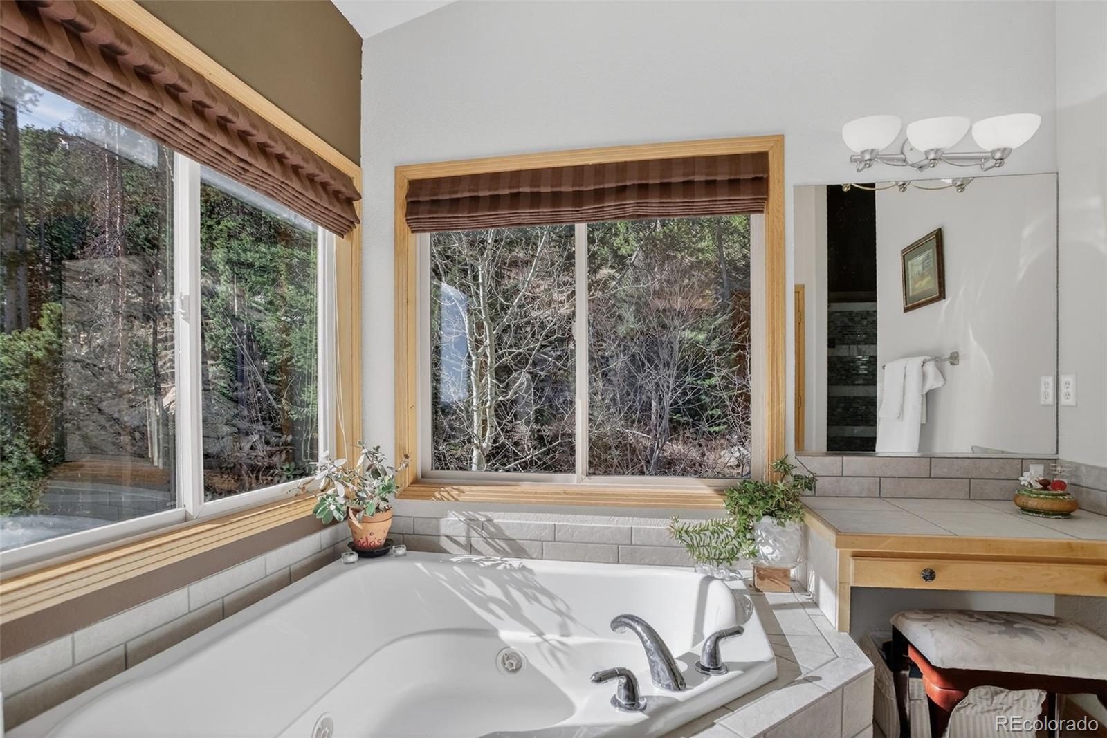 1255 Hy Vu Drive Evergreen CO 80439