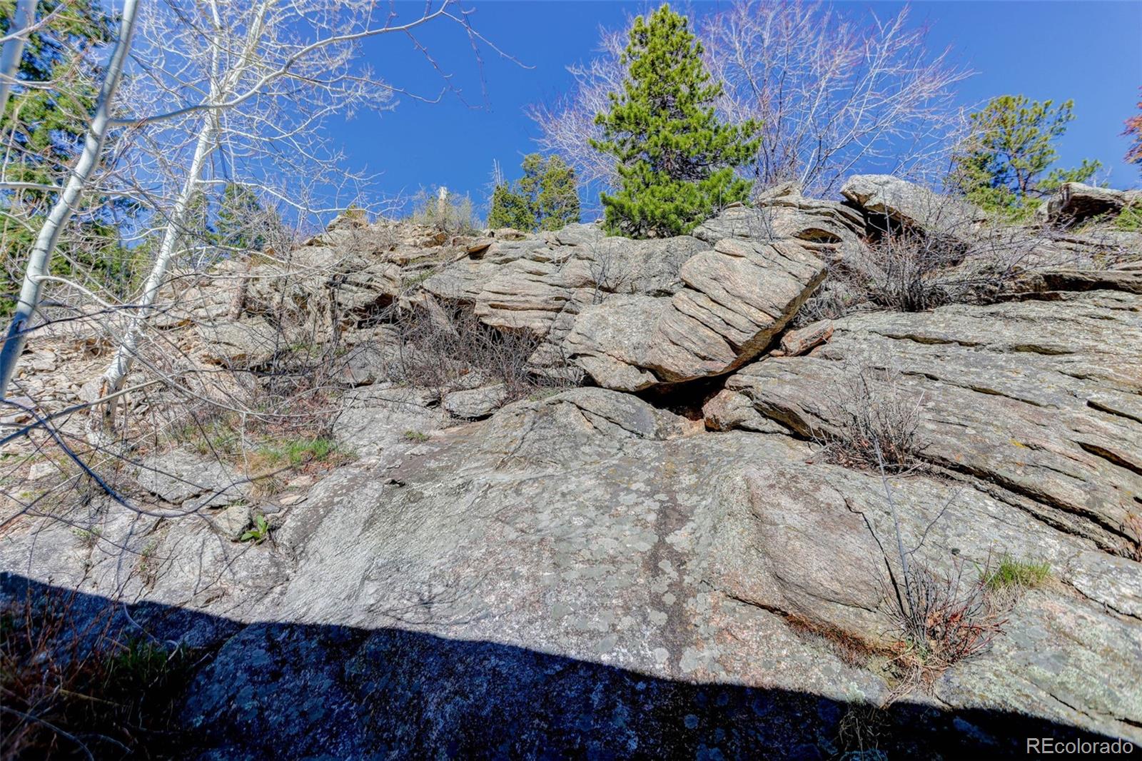 1255 Hy Vu Drive Evergreen CO 80439