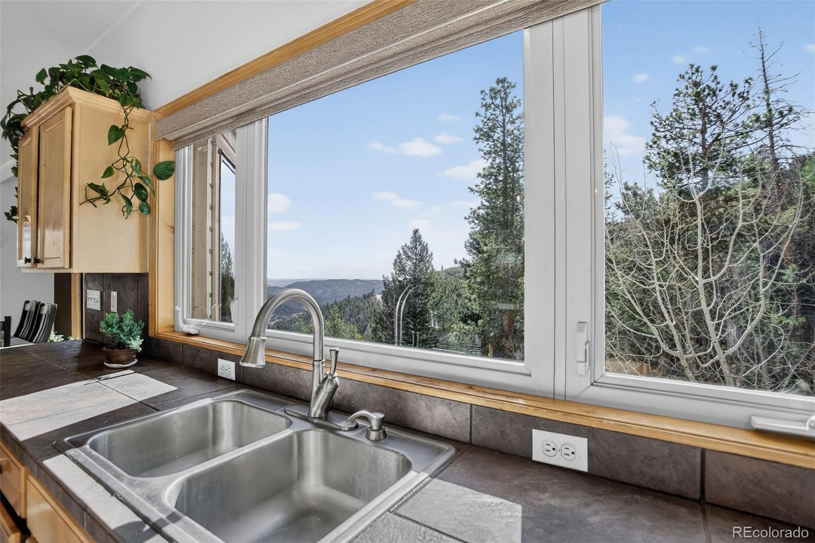 1255 Hy Vu Drive Evergreen CO 80439
