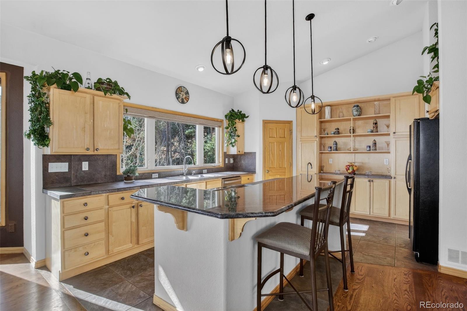 1255 Hy Vu Drive Evergreen CO 80439