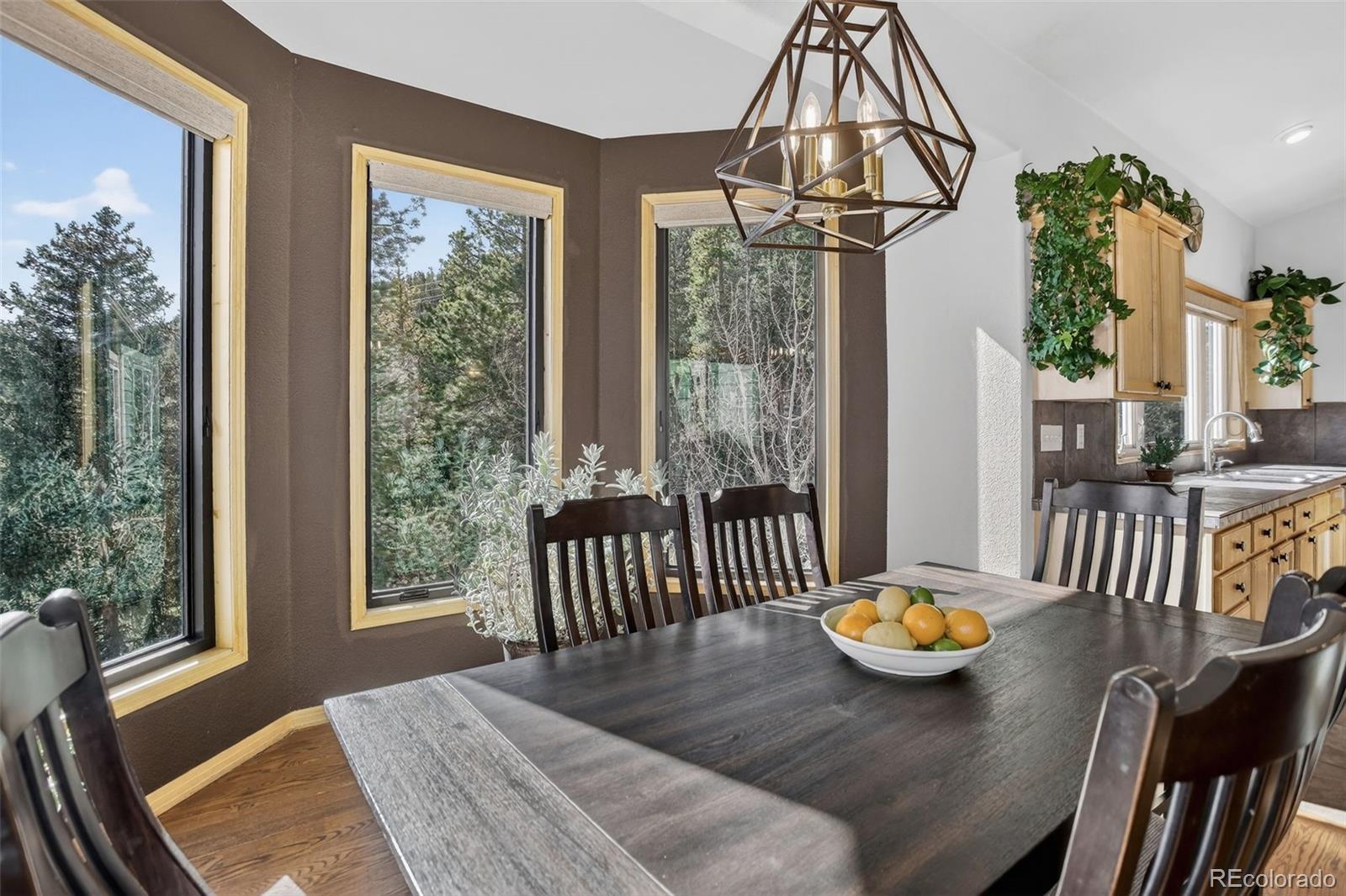 1255 Hy Vu Drive Evergreen CO 80439