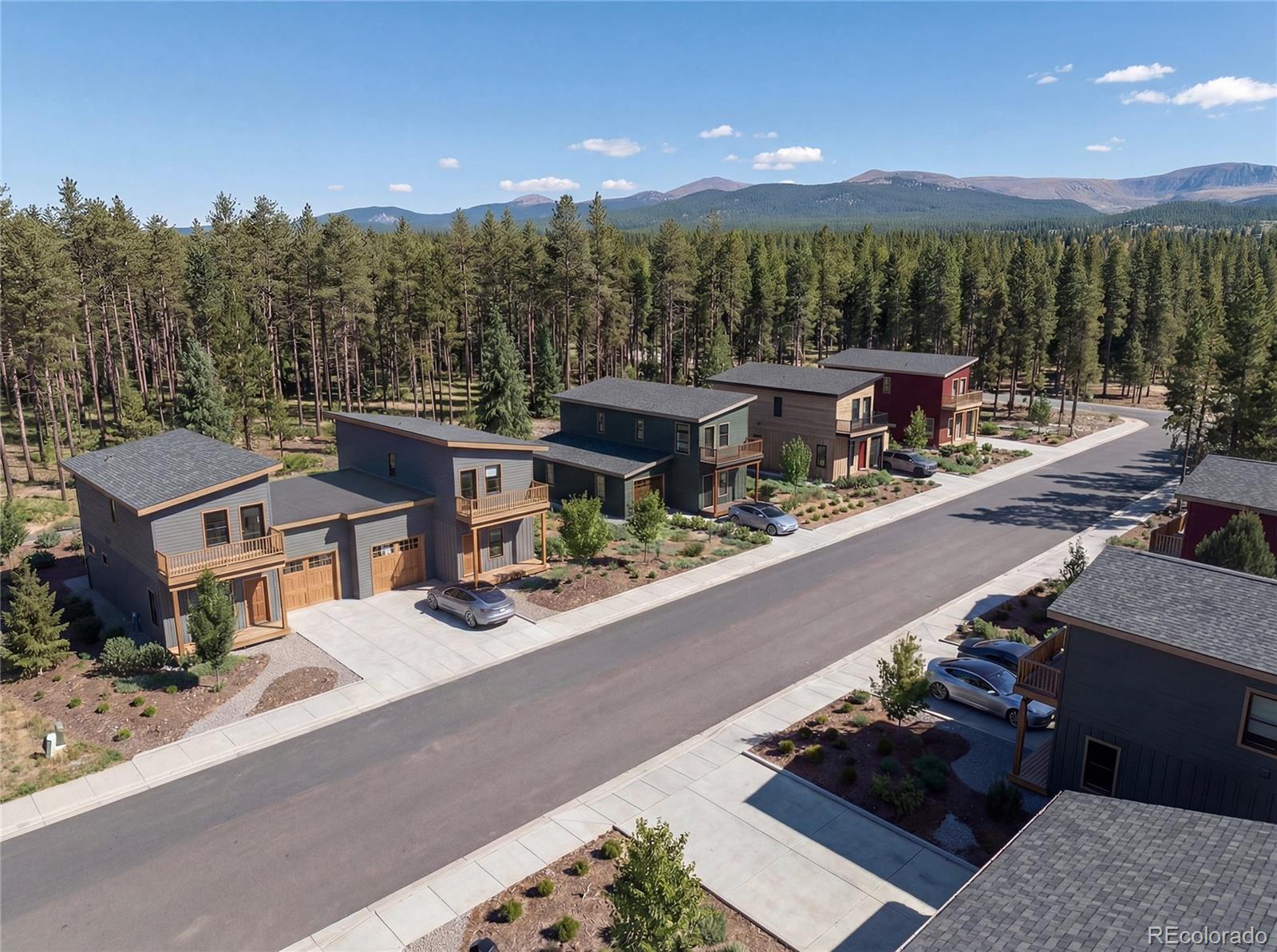 107 Timber Ranch Drive Leadville CO 80461