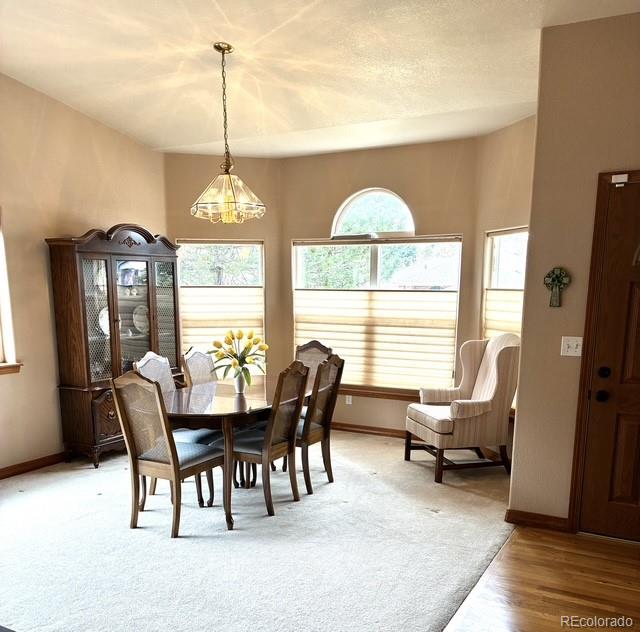 5431 Wells Fargo Drive Colorado Springs CO 80918
