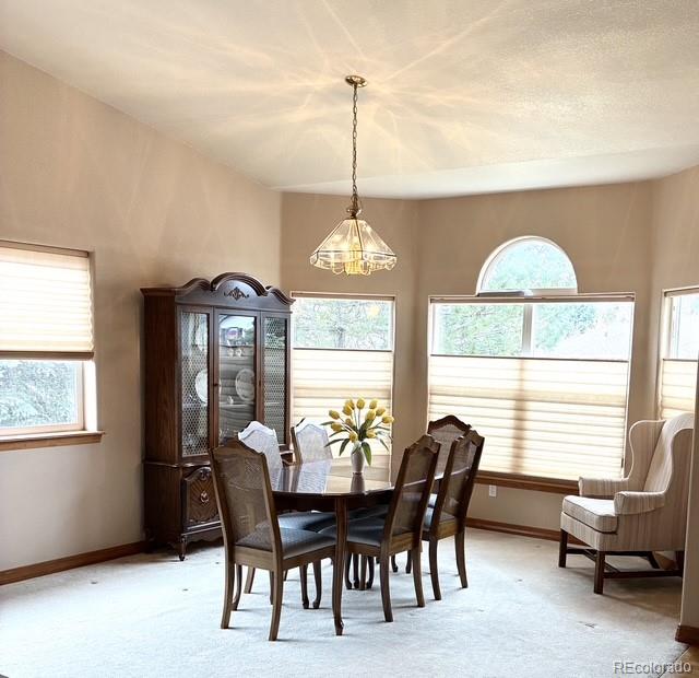 5431 Wells Fargo Drive Colorado Springs CO 80918