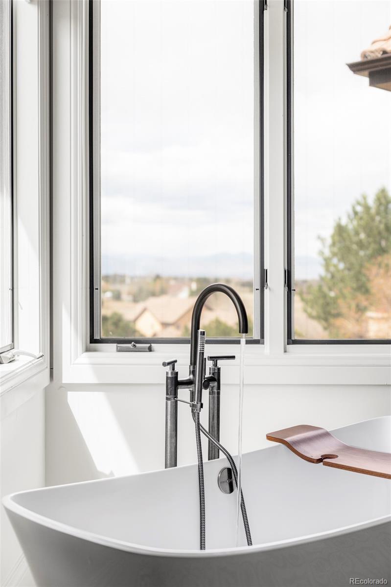 10378 Grande Vista Court Lone Tree CO 80124