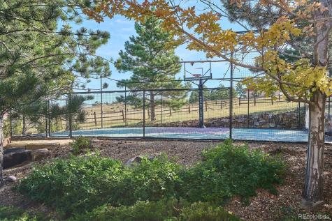 10378 Grande Vista Court Lone Tree CO 80124