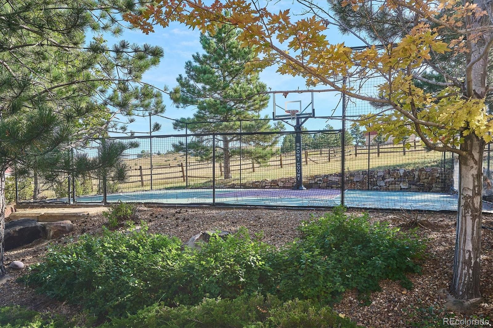 10378 Grande Vista Court Lone Tree CO 80124