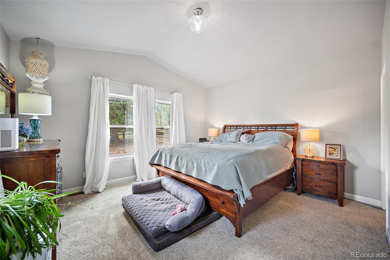 1101 Ptarmigan Drive Woodland Park CO 80863