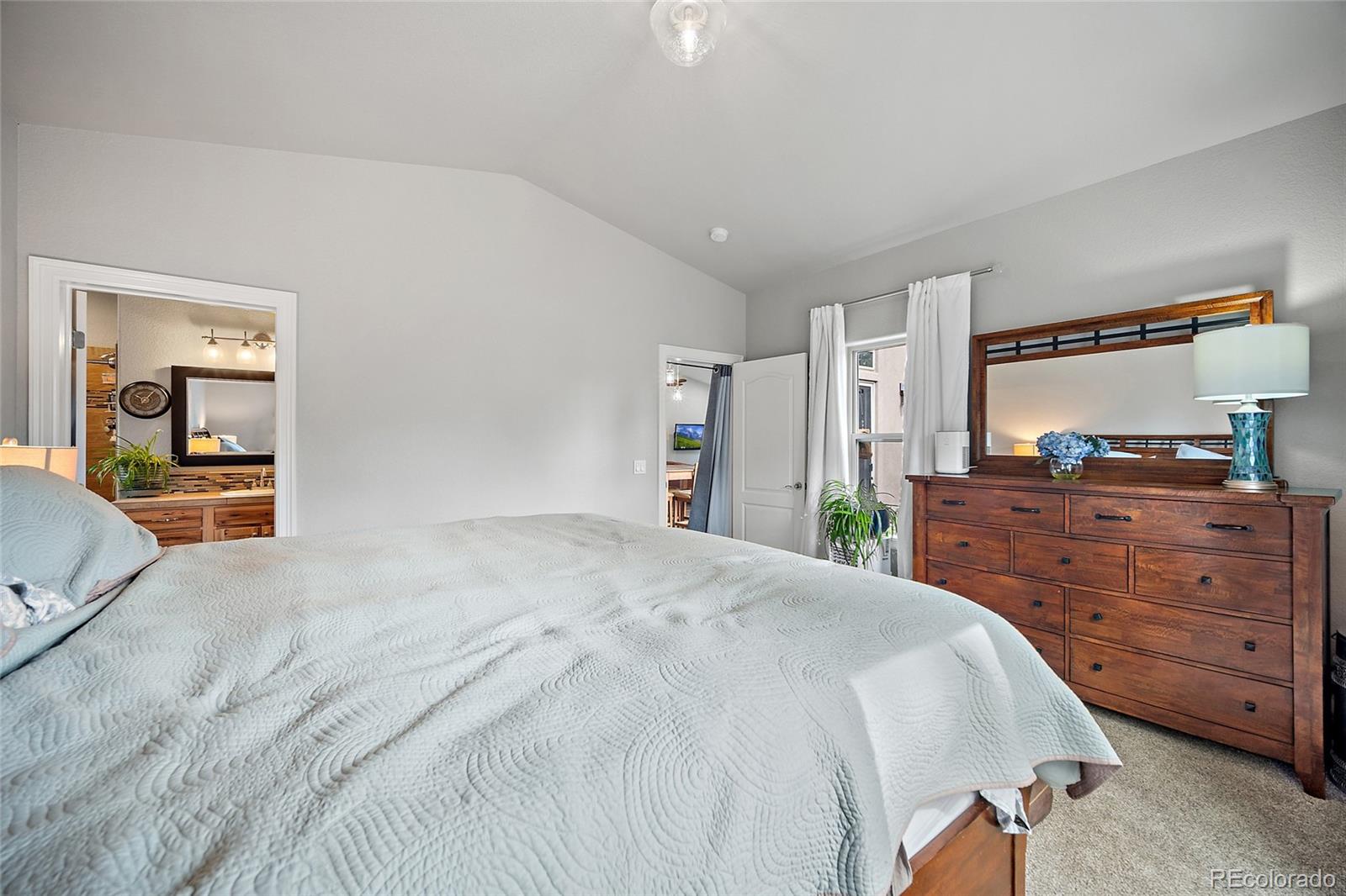 1101 Ptarmigan Drive Woodland Park CO 80863