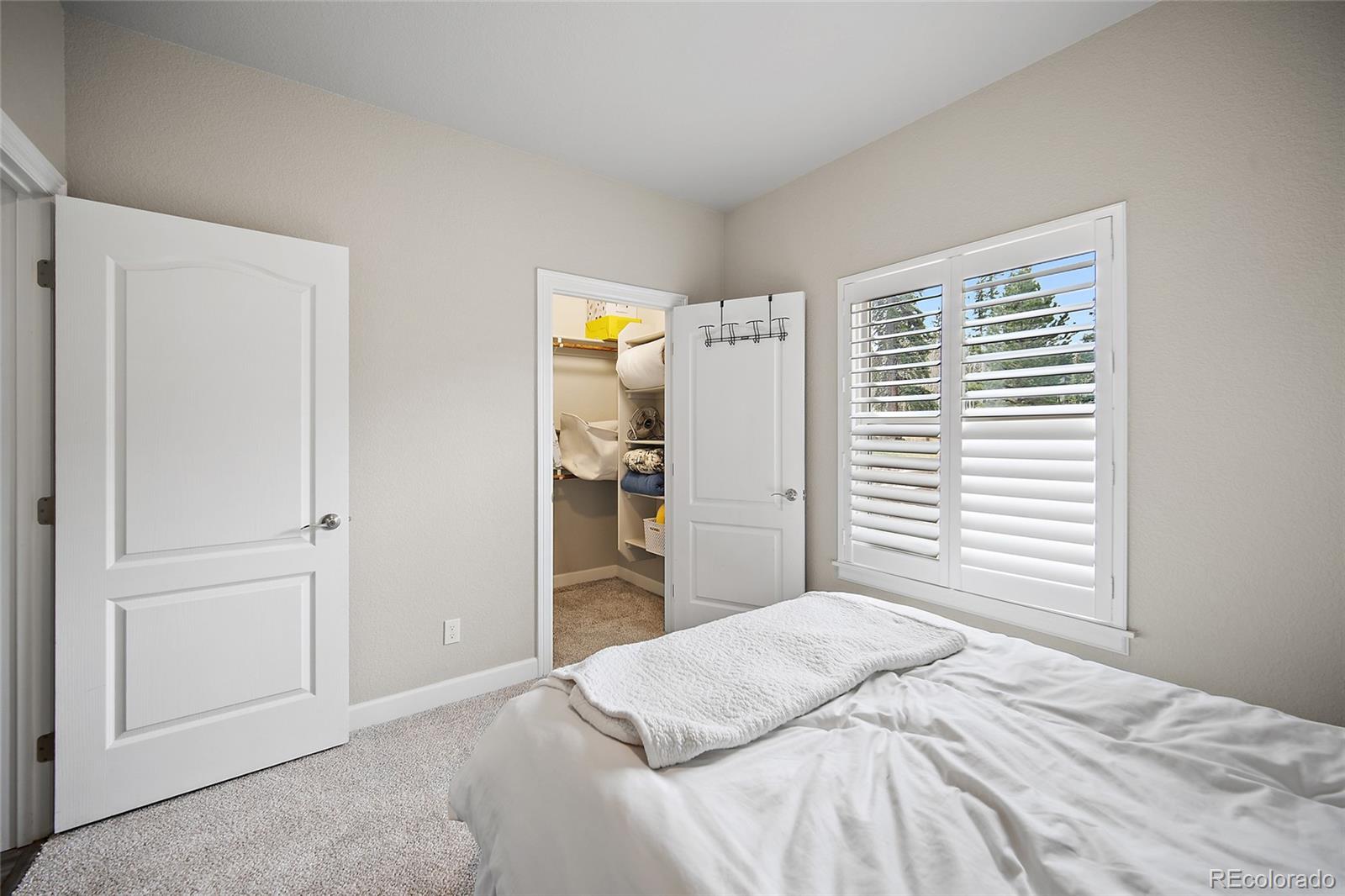 1101 Ptarmigan Drive Woodland Park CO 80863
