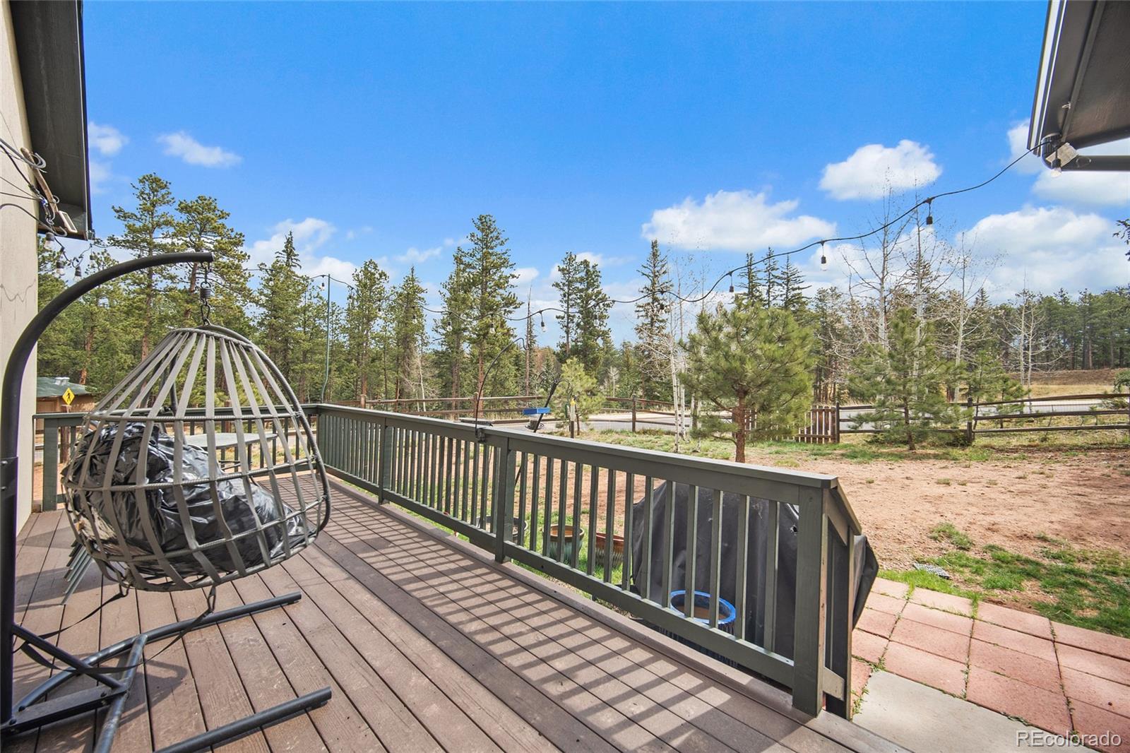 1101 Ptarmigan Drive Woodland Park CO 80863