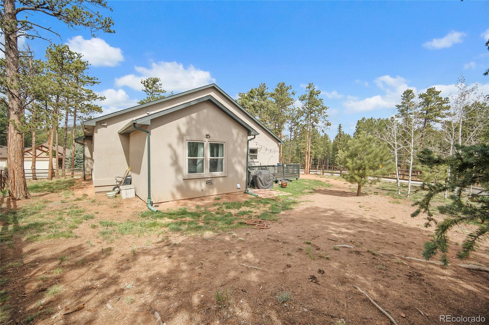 1101 Ptarmigan Drive Woodland Park CO 80863