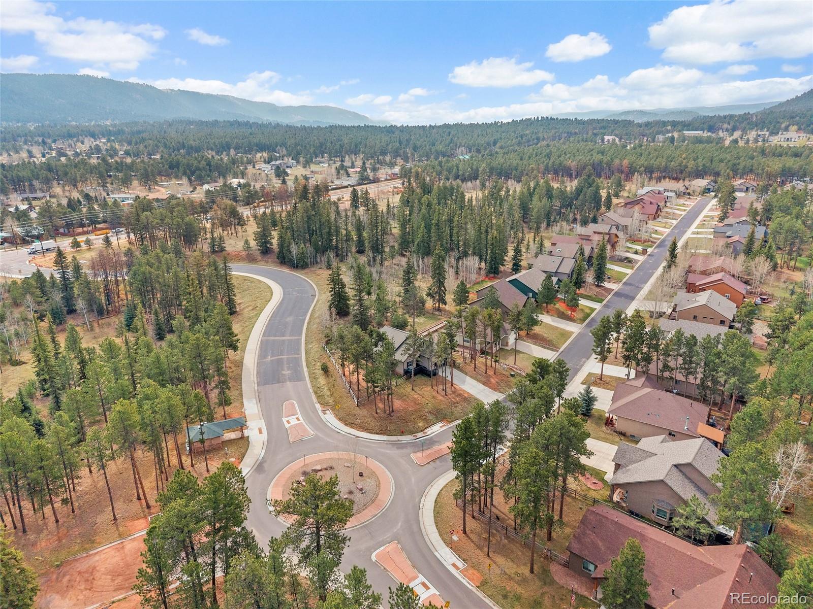 1101 Ptarmigan Drive Woodland Park CO 80863