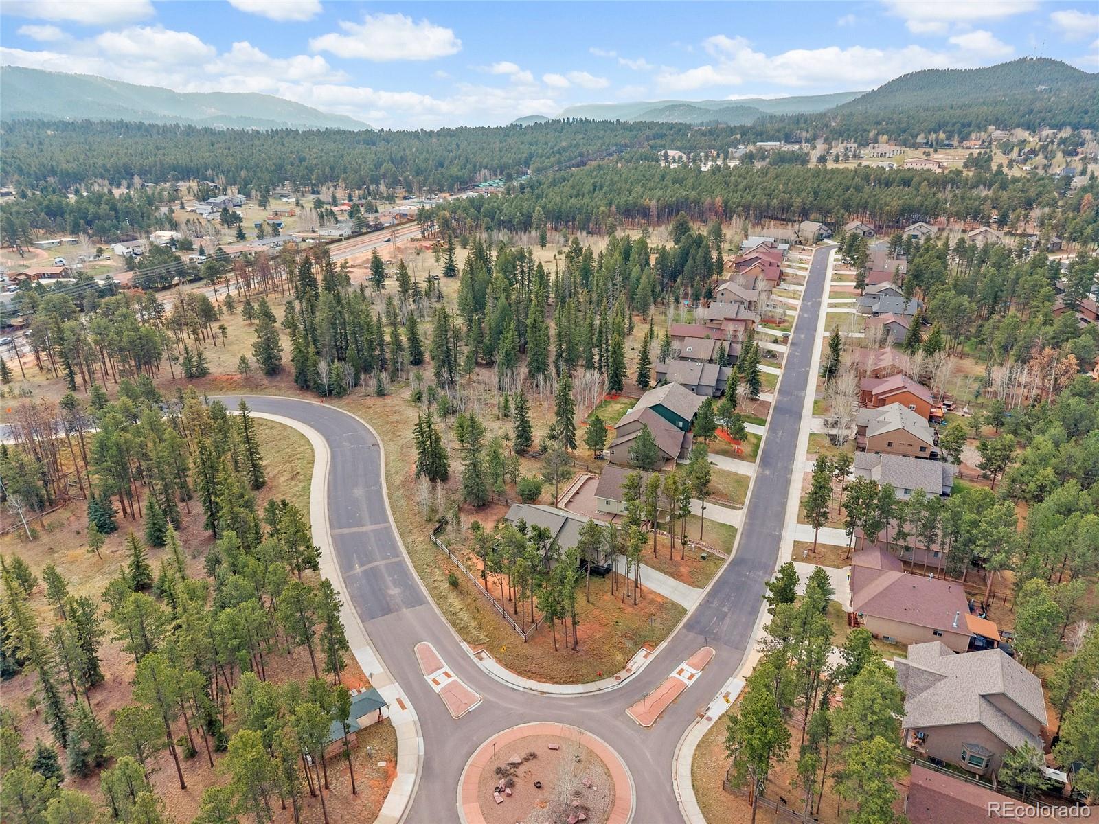 1101 Ptarmigan Drive Woodland Park CO 80863