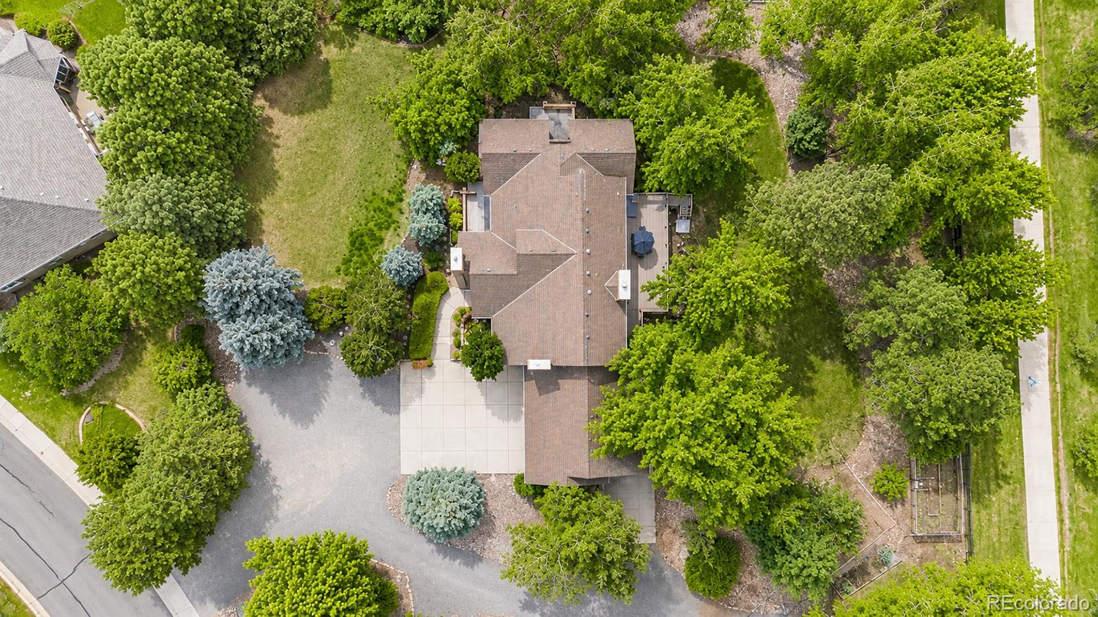 14656 W 56th Drive Arvada CO 80002