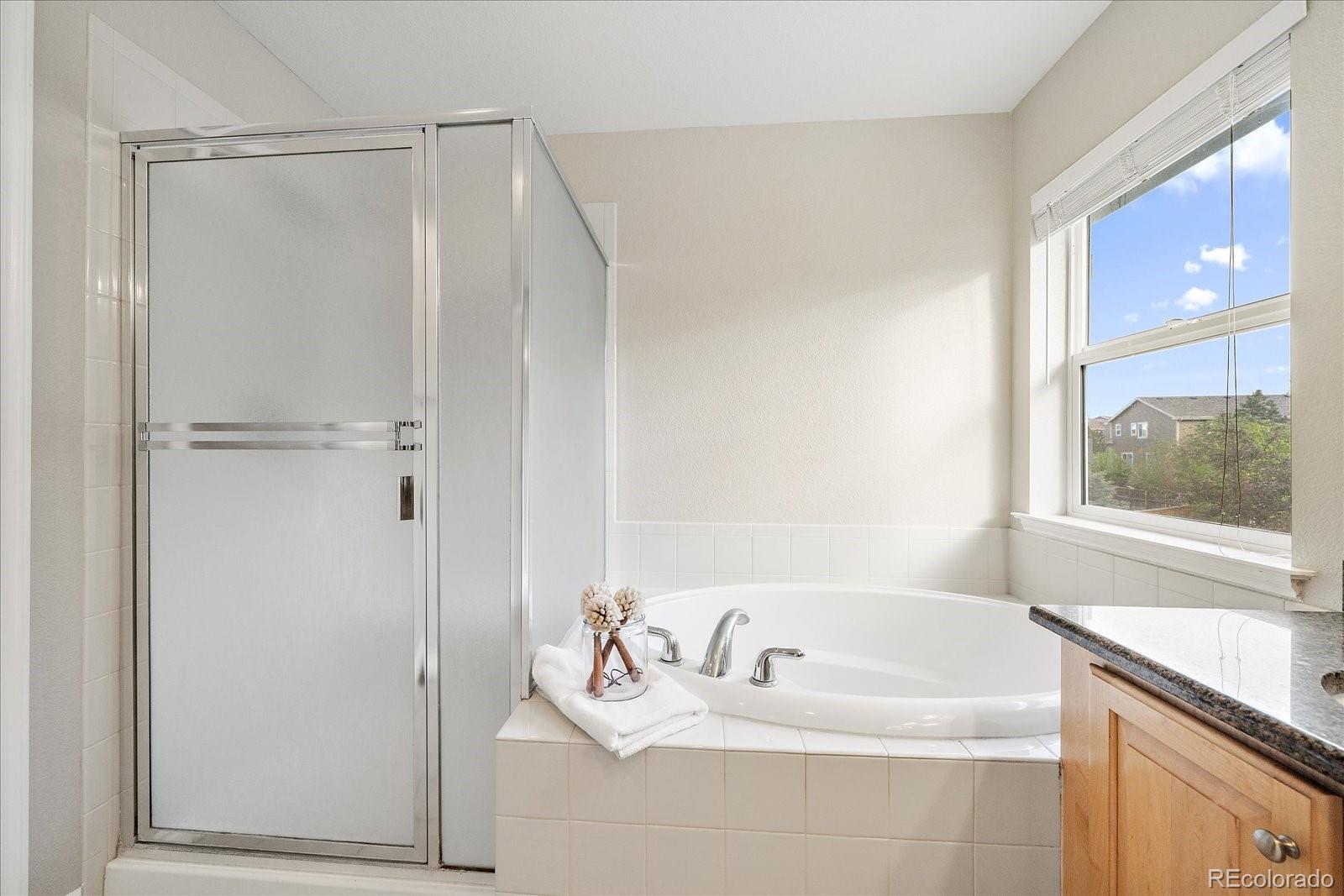 4850 Bluegate Lane Highlands Ranch CO 80130