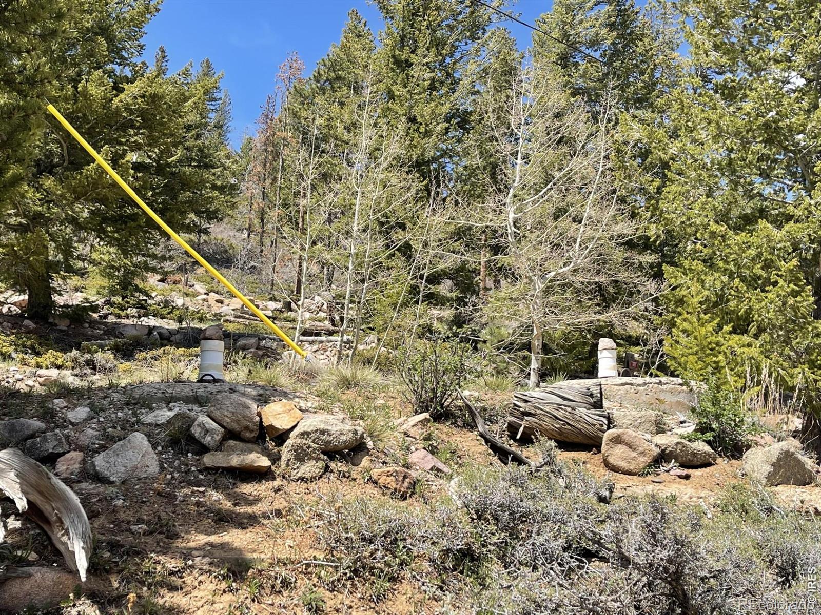 194 Mattapony Way Red Feather Lakes CO 80545