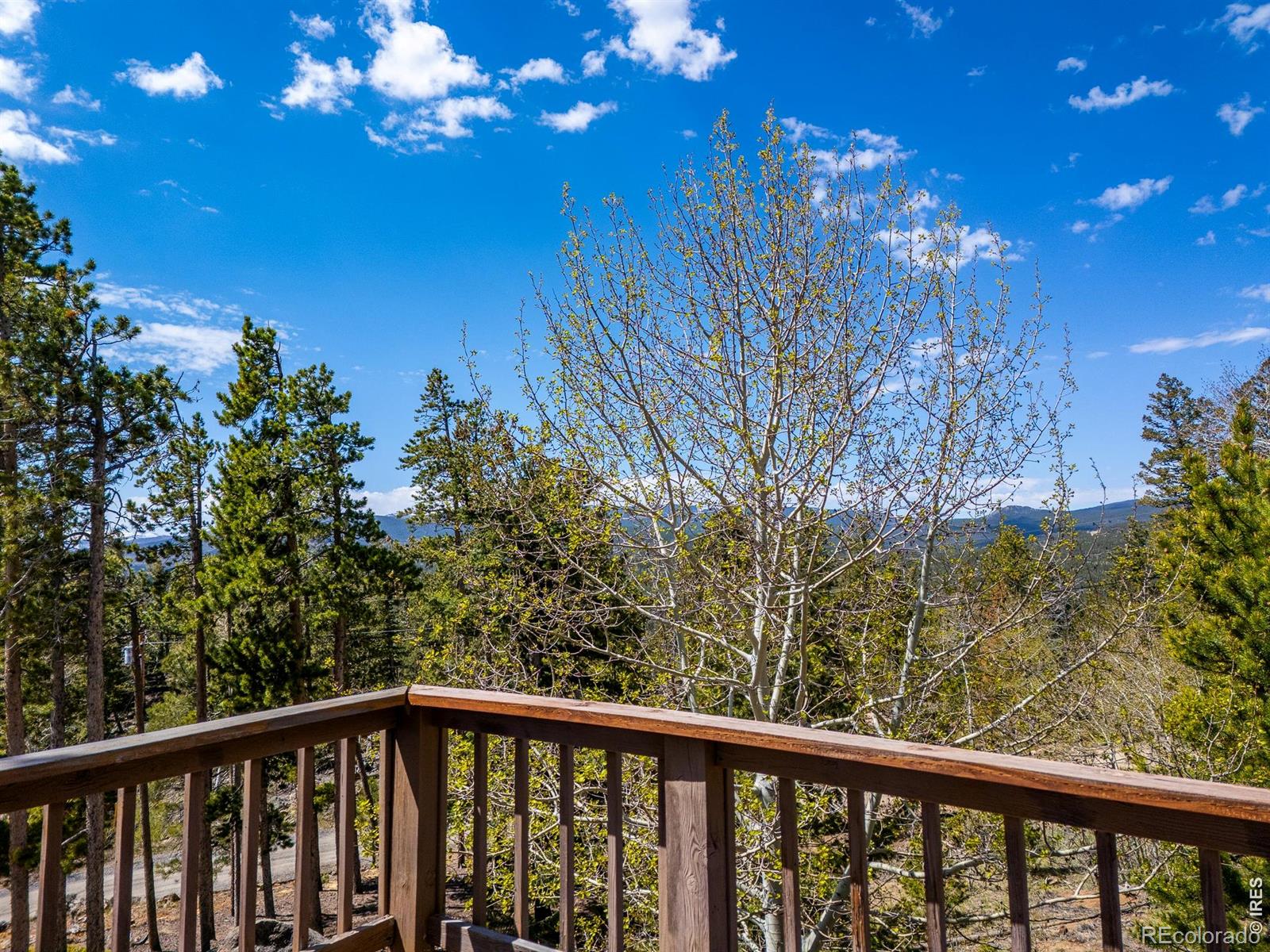 194 Mattapony Way Red Feather Lakes CO 80545