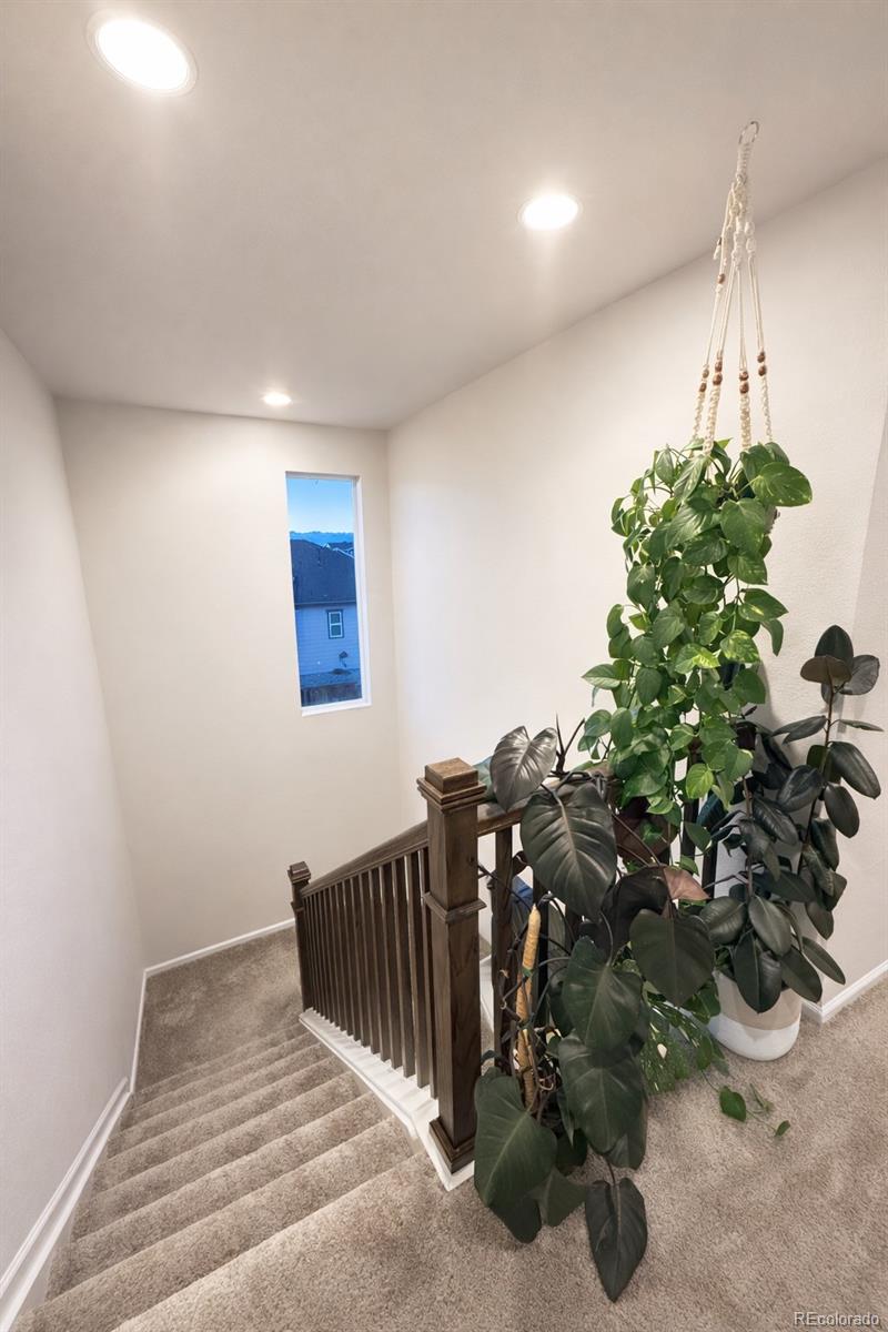 9803 Ceylon Street Commerce City CO 80022