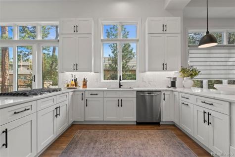 4517 Silver Cliff Court Castle Rock CO 80108