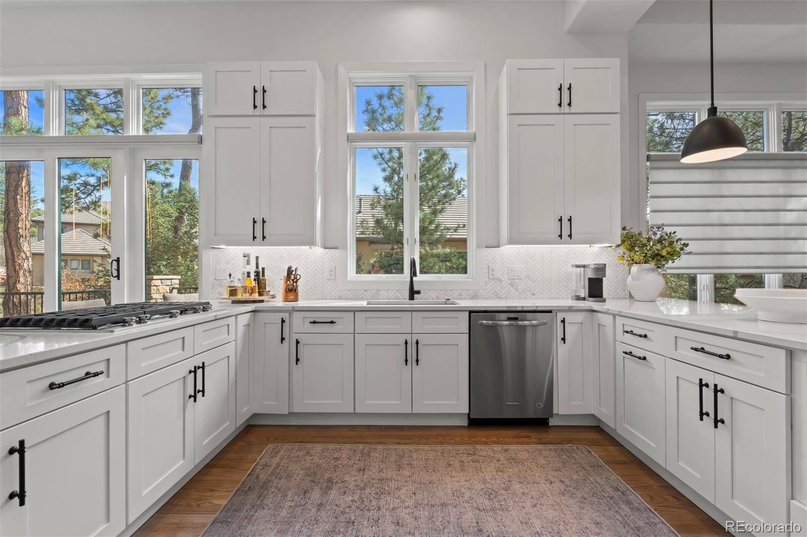 4517 Silver Cliff Court Castle Rock CO 80108
