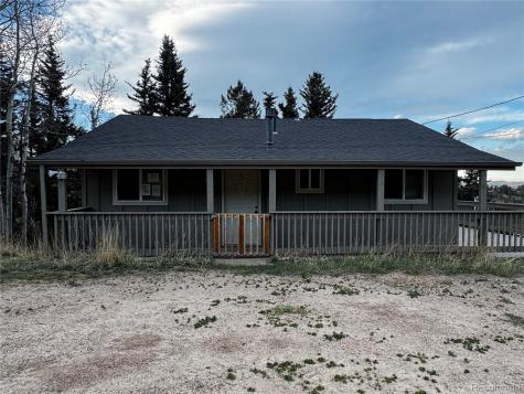 949 S Pine Drive Bailey CO 80421