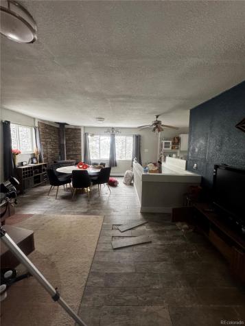 949 S Pine Drive Bailey CO 80421