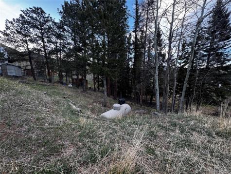 949 S Pine Drive Bailey CO 80421