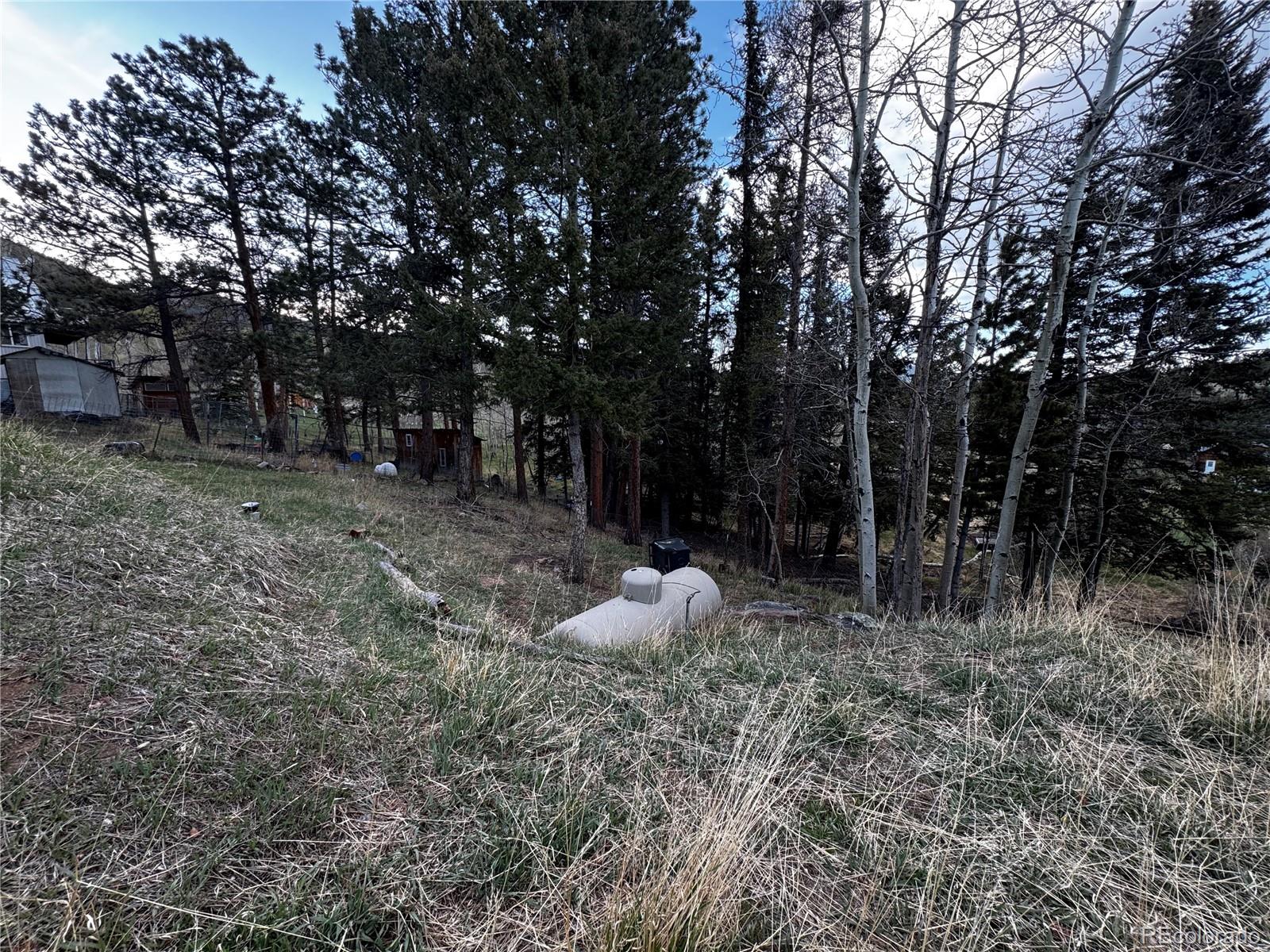 949 S Pine Drive Bailey CO 80421