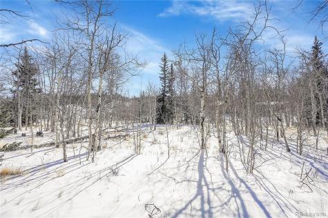 280 Apache Trail Jefferson CO 80456