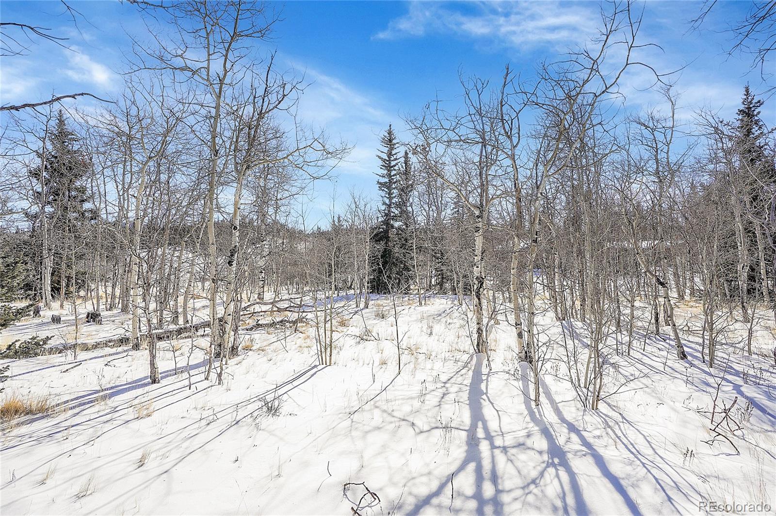 280 Apache Trail Jefferson CO 80456