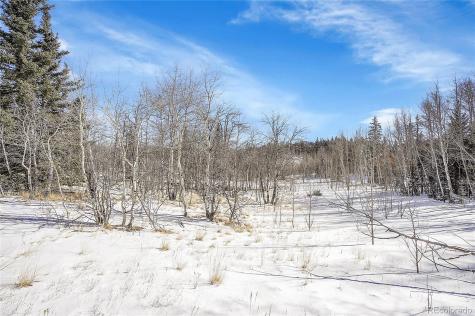 280 Apache Trail Jefferson CO 80456