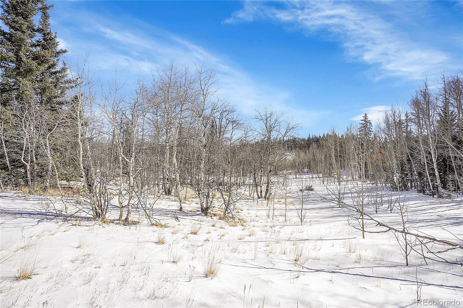280 Apache Trail Jefferson CO 80456