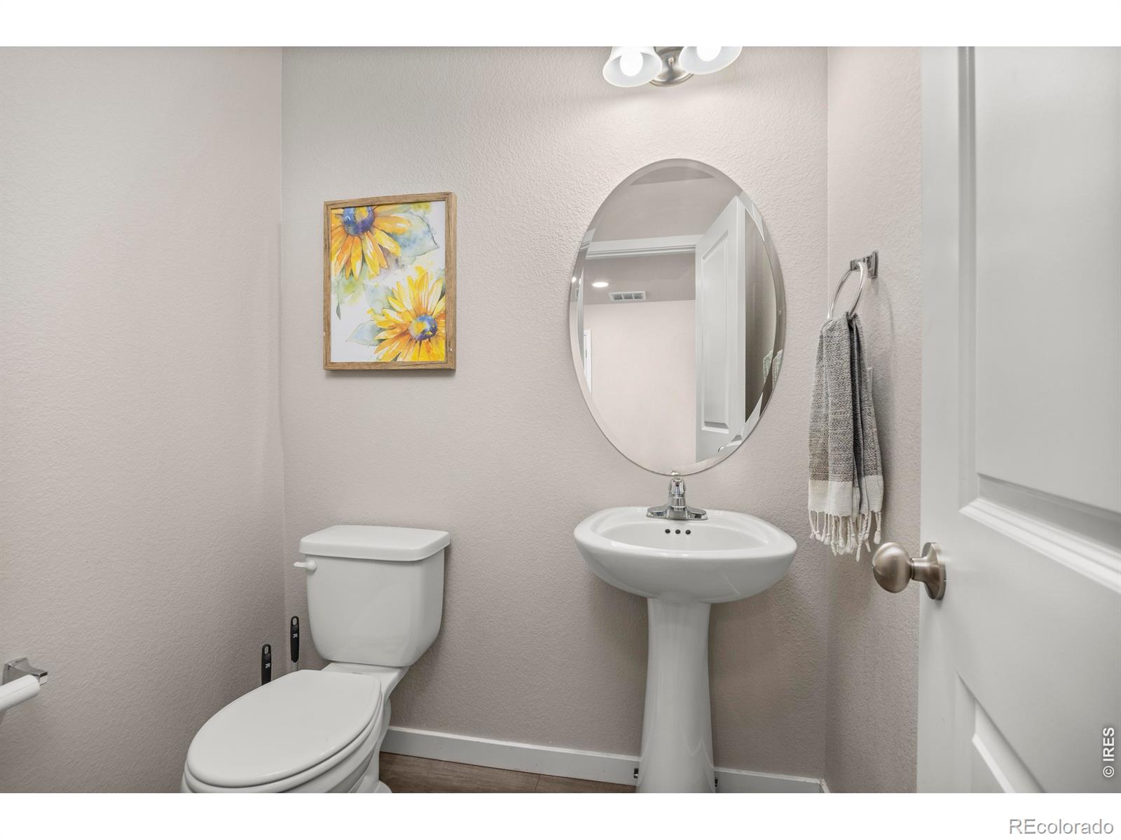 3803 Sweetgum Street Wellington CO 80549